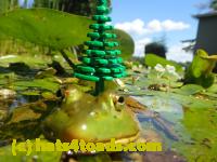 /home//u458753944/public_html/sourcegallery//Frogs/Bullfrogs 2016-08 Ontario/P8081379.JPG